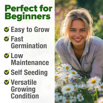 HOME GROWN 𝗨𝗦𝗔 𝗣𝗥𝗘𝗠𝗜𝗨𝗠 Zinnia Dahlia Seeds Pack for 2025 – 524 𝗡𝗢𝗡-𝗚𝗠𝗢 Flower Seeds | Vibrant Zinnia Elegans for Pollinator Gardens, Borders & Containers | Easy-to-Grow Outdoor Blooms