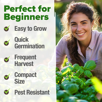 HOME GROWN 𝗨𝗦𝗔 𝗣𝗥𝗘𝗠𝗜𝗨𝗠 Peppermint Seeds Pack – 2,370 𝗡𝗢𝗡-𝗚𝗠𝗢 Heirloom Mint Seeds for Planting. Grow Peppermint Plants in Your Herb Garden Indoors or Outdoors (Mentha x piperita)