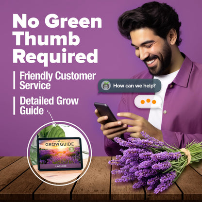 HOME GROWN 𝗨𝗦𝗔 𝗣𝗥𝗘𝗠𝗜𝗨𝗠 Peppermint Seeds Pack – 2,370 𝗡𝗢𝗡-𝗚𝗠𝗢 Heirloom Mint Seeds for Planting. Grow Peppermint Plants in Your Herb Garden Indoors or Outdoors (Mentha x piperita)