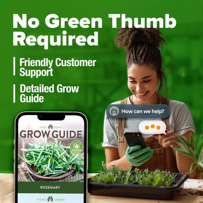 HOME GROWN 𝗨𝗦𝗔 𝗣𝗥𝗘𝗠𝗜𝗨𝗠 Peppermint Seeds Pack – 2,370 𝗡𝗢𝗡-𝗚𝗠𝗢 Heirloom Mint Seeds for Planting. Grow Peppermint Plants in Your Herb Garden Indoors or Outdoors (Mentha x piperita)