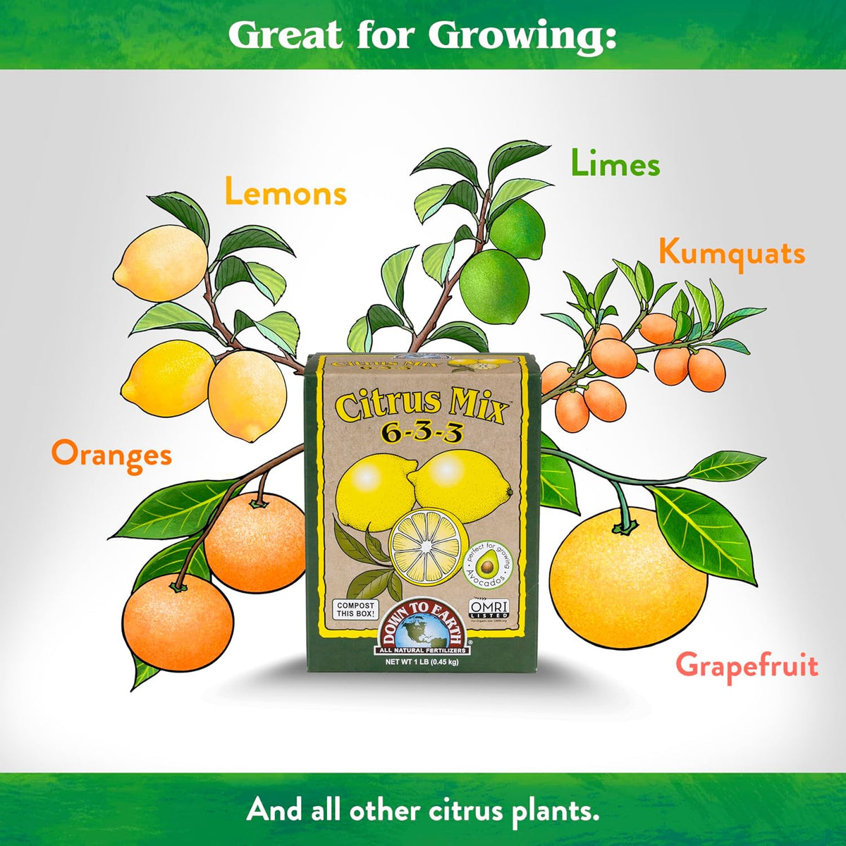 Down To Earth All Natural Fertilizers Organic Citrus Mix - 6-3-3, 1 lb