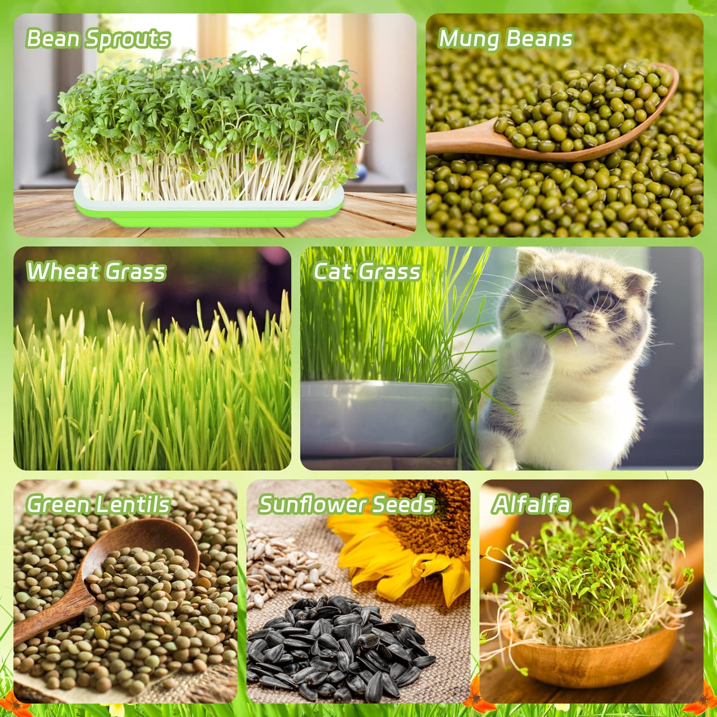 Legigo 8 Pack Seed Sprouter Trays with Lids- Soil-Free Cultivation Germination Tray, BPA Free Micro Greens Growing Trays Seed Sprouting Trays Kit with Germinating Paper for Wheatgrass, Beans and More