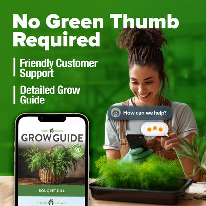 HOME GROWN 𝗨𝗦𝗔 𝗣𝗥𝗘𝗠𝗜𝗨𝗠 Peppermint Seeds Pack – 2,370 𝗡𝗢𝗡-𝗚𝗠𝗢 Heirloom Mint Seeds for Planting. Grow Peppermint Plants in Your Herb Garden Indoors or Outdoors (Mentha x piperita)