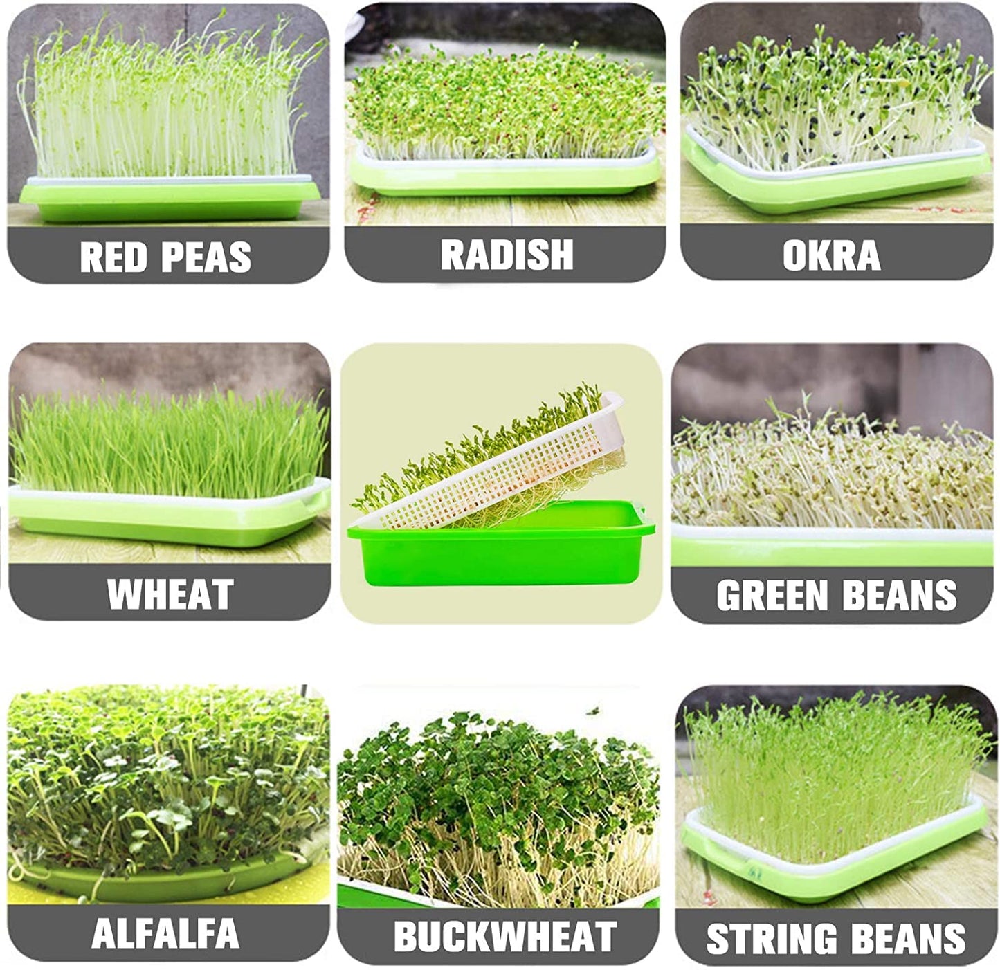 Legigo 8 Pack Seed Sprouter Trays with Lids- Soil-Free Cultivation Germination Tray, BPA Free Micro Greens Growing Trays Seed Sprouting Trays Kit with Germinating Paper for Wheatgrass, Beans and More