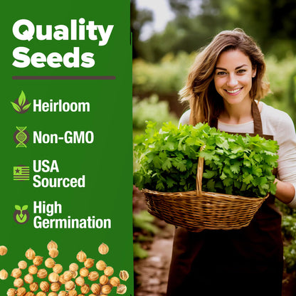 HOME GROWN 𝗨𝗦𝗔 𝗣𝗥𝗘𝗠𝗜𝗨𝗠 Peppermint Seeds Pack – 2,370 𝗡𝗢𝗡-𝗚𝗠𝗢 Heirloom Mint Seeds for Planting. Grow Peppermint Plants in Your Herb Garden Indoors or Outdoors (Mentha x piperita)