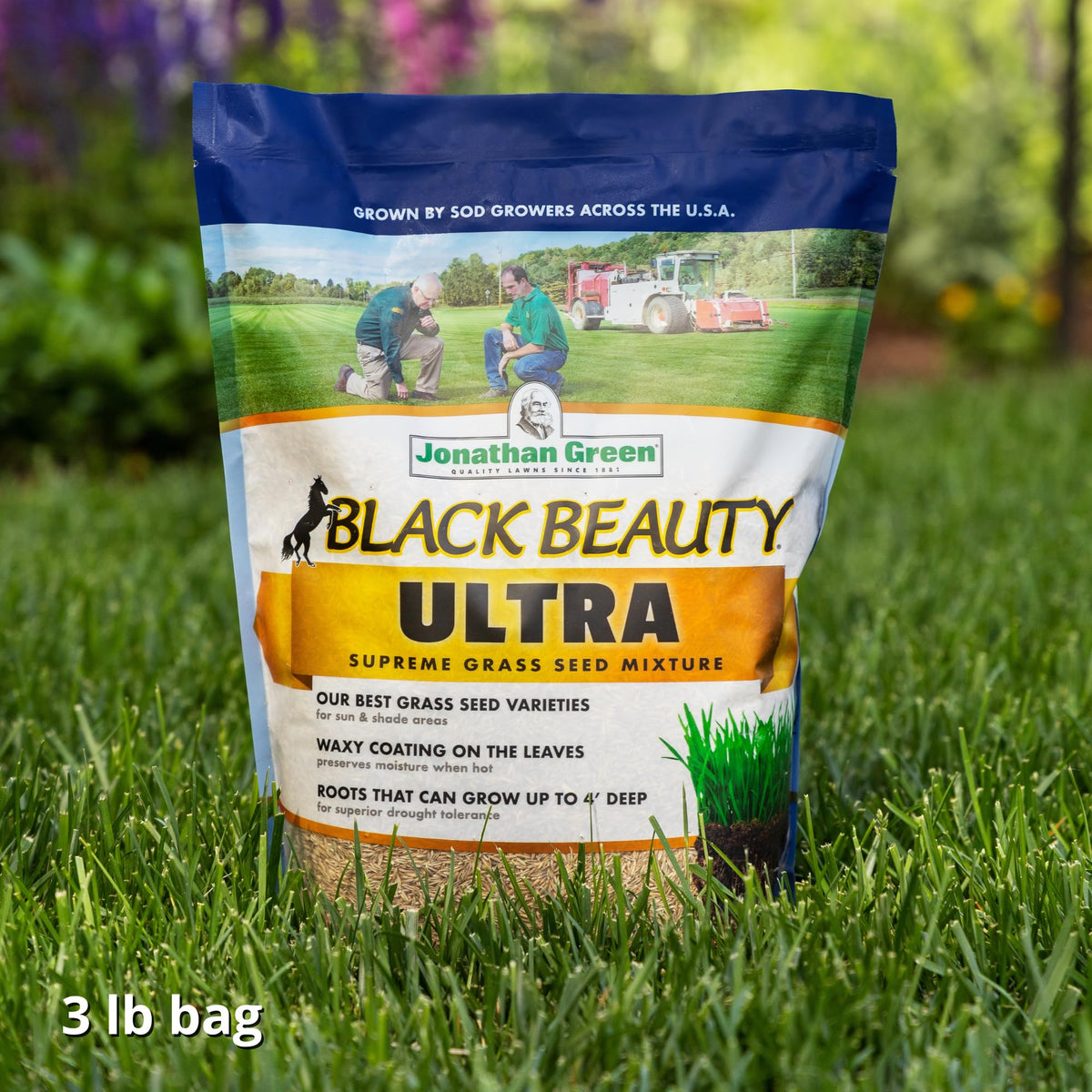 Jonathan Green Black Beauty Ultra Grass Seed - 7 lb