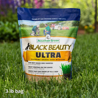 Jonathan Green Black Beauty Ultra Grass Seed - 7 lb