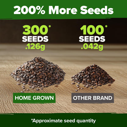 HOME GROWN 𝗨𝗦𝗔 𝗣𝗥𝗘𝗠𝗜𝗨𝗠 Zinnia Dahlia Seeds Pack for 2025 – 524 𝗡𝗢𝗡-𝗚𝗠𝗢 Flower Seeds | Vibrant Zinnia Elegans for Pollinator Gardens, Borders & Containers | Easy-to-Grow Outdoor Blooms