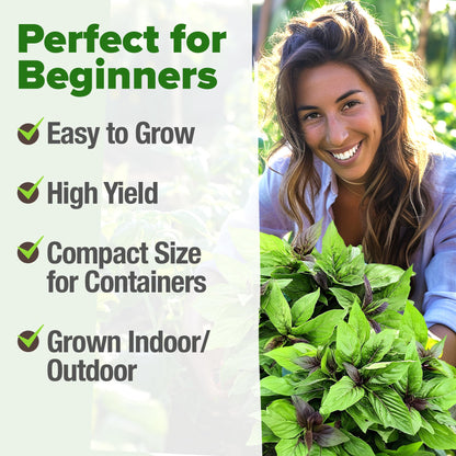 HOME GROWN 𝗨𝗦𝗔 𝗣𝗥𝗘𝗠𝗜𝗨𝗠 Peppermint Seeds Pack – 2,370 𝗡𝗢𝗡-𝗚𝗠𝗢 Heirloom Mint Seeds for Planting. Grow Peppermint Plants in Your Herb Garden Indoors or Outdoors (Mentha x piperita)