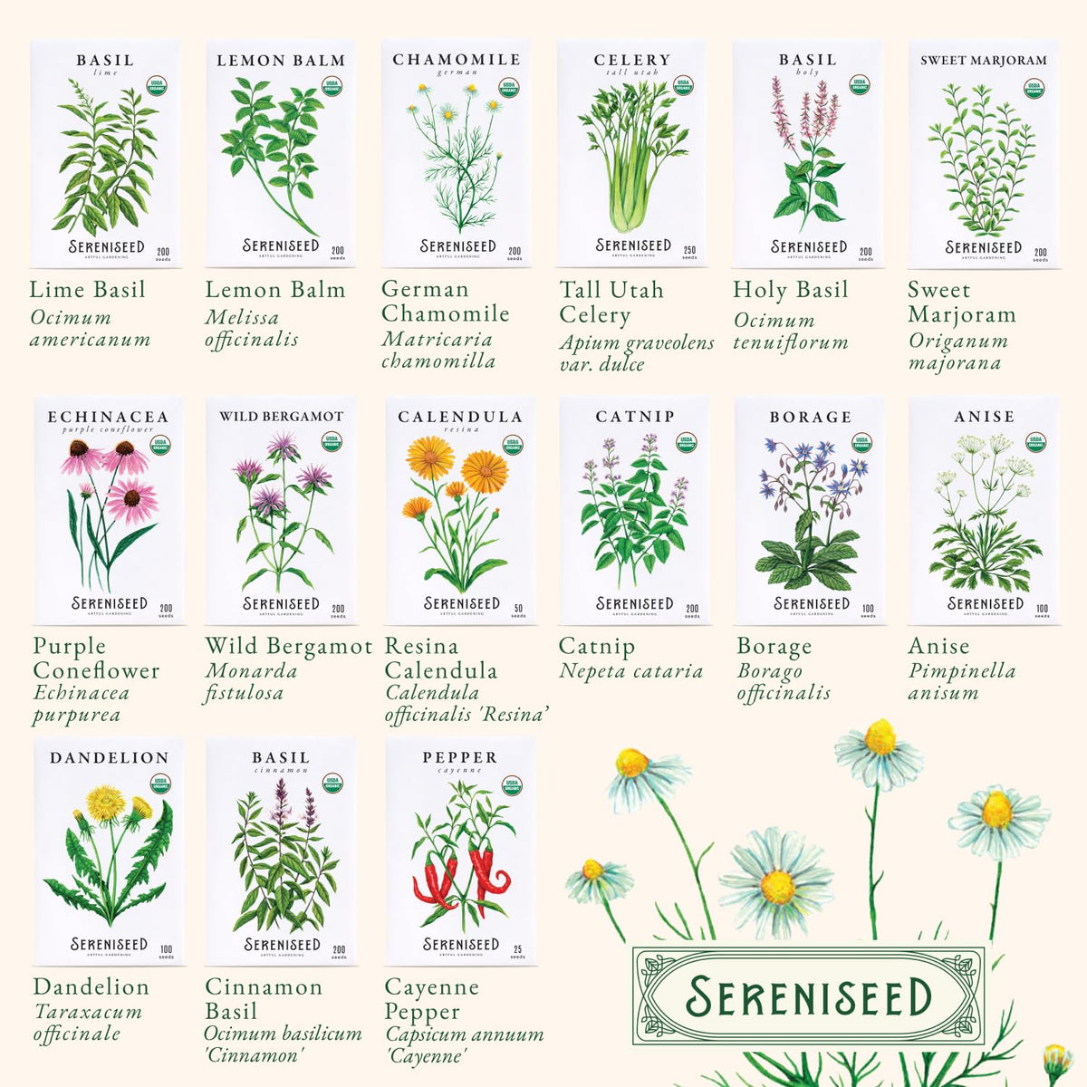 Sereniseed Certified Organic Herb Seeds 10-Pack, Culinary Garden Kit
