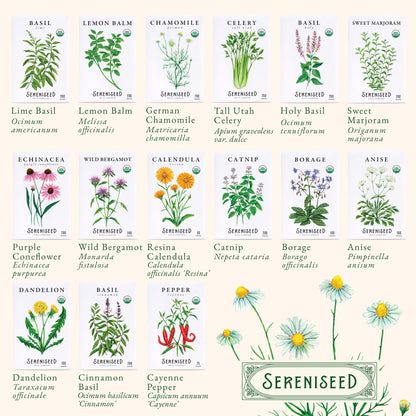 Sereniseed Certified Organic Herb Seeds 10-Pack, Culinary Garden Kit