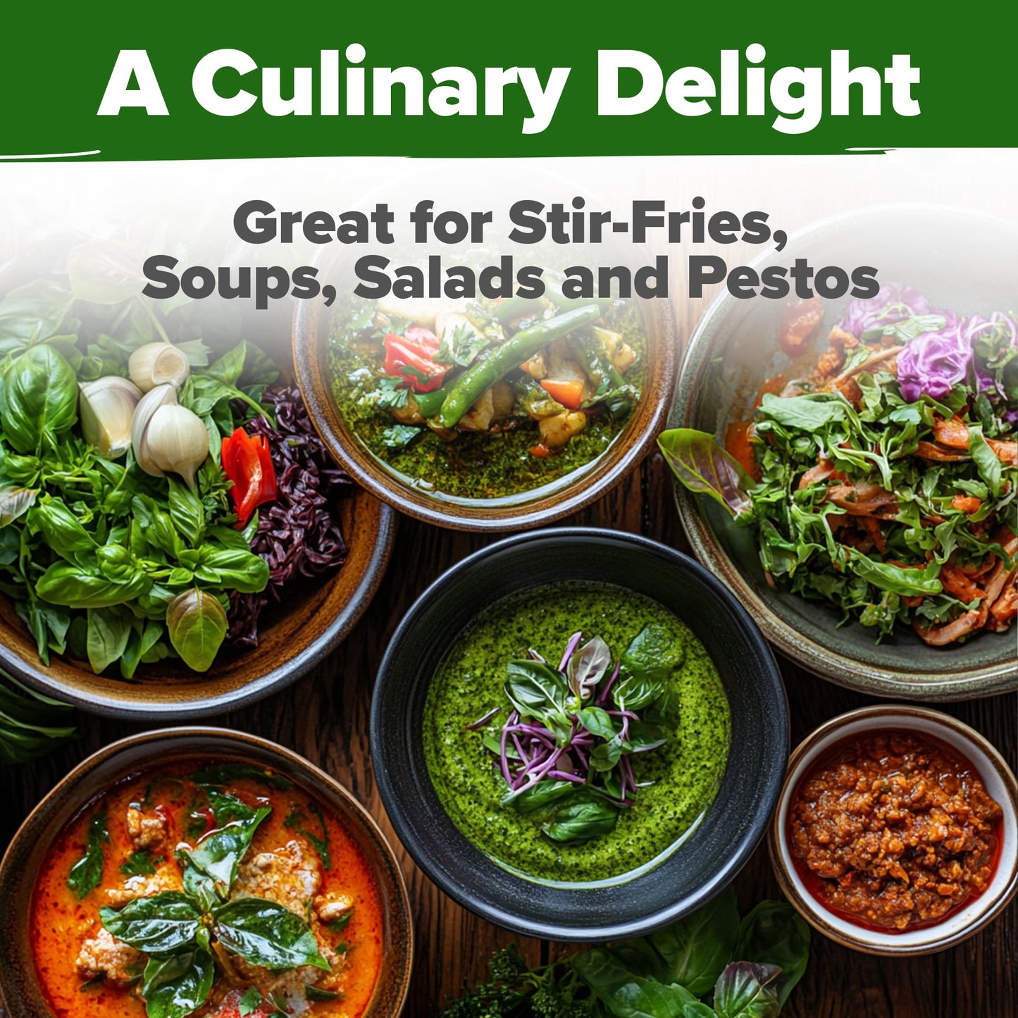 HOME GROWN 𝗨𝗦𝗔 𝗣𝗥𝗘𝗠𝗜𝗨𝗠 Peppermint Seeds Pack – 2,370 𝗡𝗢𝗡-𝗚𝗠𝗢 Heirloom Mint Seeds for Planting. Grow Peppermint Plants in Your Herb Garden Indoors or Outdoors (Mentha x piperita)