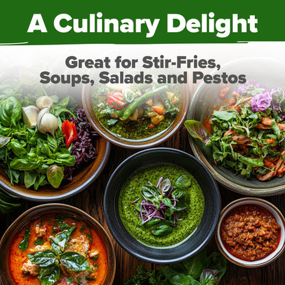 HOME GROWN 𝗨𝗦𝗔 𝗣𝗥𝗘𝗠𝗜𝗨𝗠 Peppermint Seeds Pack – 2,370 𝗡𝗢𝗡-𝗚𝗠𝗢 Heirloom Mint Seeds for Planting. Grow Peppermint Plants in Your Herb Garden Indoors or Outdoors (Mentha x piperita)