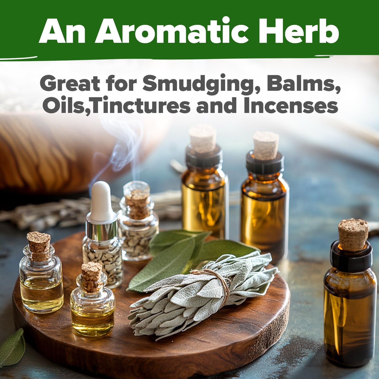 HOME GROWN 𝗨𝗦𝗔 𝗣𝗥𝗘𝗠𝗜𝗨𝗠 Peppermint Seeds Pack – 2,370 𝗡𝗢𝗡-𝗚𝗠𝗢 Heirloom Mint Seeds for Planting. Grow Peppermint Plants in Your Herb Garden Indoors or Outdoors (Mentha x piperita)