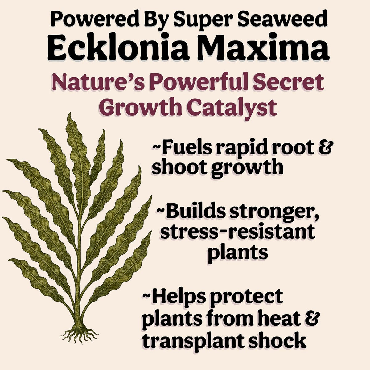 Organic Liquid Indoor Plant Food, Houseplant, Tropical & All-Purpose Indoor Plant Fertilizer, Organic Liquid Fertilizer 5-5-5 with Sea Kelp, 8oz Treats 50 Gallons