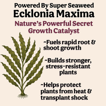Organic Liquid Indoor Plant Food, Houseplant, Tropical & All-Purpose Indoor Plant Fertilizer, Organic Liquid Fertilizer 5-5-5 with Sea Kelp, 8oz Treats 50 Gallons