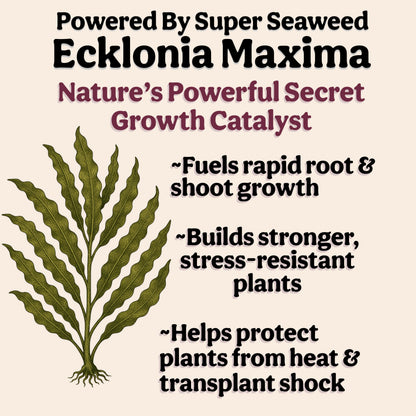 Organic Liquid Indoor Plant Food, Houseplant, Tropical & All-Purpose Indoor Plant Fertilizer, Organic Liquid Fertilizer 5-5-5 with Sea Kelp, 8oz Treats 50 Gallons