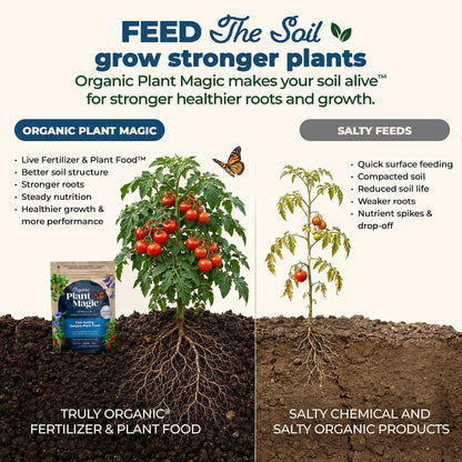 Organic Plant Magic Fertilizer & Plant Food for House Plants & Garden 1/2lb