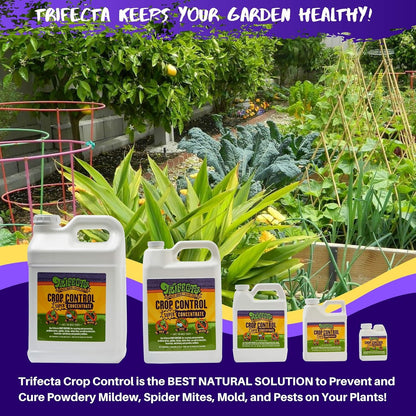 Trifecta Crop Control Ready to Use Maximum Strength Natural Pesticide, Fungicide, Miticide, Insecticide, Help Defeat Spider Mites, Powdery Mildew, Botrytis and Mold on Plants 32 OZ Size
