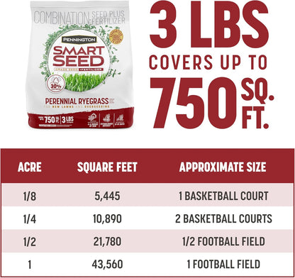 Pennington Smart Seed Perennial Rye Grass Seed Plus Fertilizer, 3 lb