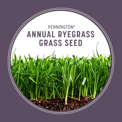 Pennington Annual Ryegrass, Grass Seeds for Lawn, 10 Lb