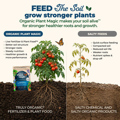 Organic Plant Magic Fertilizer & Plant Food for House Plants & Garden 1/2lb