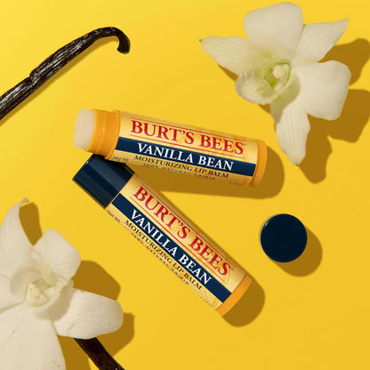 Burt's Bees 100% Natural Moisturizing Lip Balm (Original Beeswax)