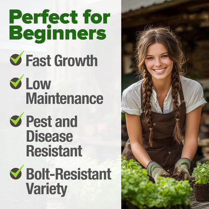 HOME GROWN 𝗨𝗦𝗔 𝗣𝗥𝗘𝗠𝗜𝗨𝗠 Peppermint Seeds Pack – 2,370 𝗡𝗢𝗡-𝗚𝗠𝗢 Heirloom Mint Seeds for Planting. Grow Peppermint Plants in Your Herb Garden Indoors or Outdoors (Mentha x piperita)