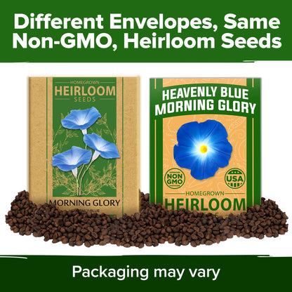 HOME GROWN 𝗨𝗦𝗔 𝗣𝗥𝗘𝗠𝗜𝗨𝗠 Zinnia Dahlia Seeds Pack for 2025 – 524 𝗡𝗢𝗡-𝗚𝗠𝗢 Flower Seeds | Vibrant Zinnia Elegans for Pollinator Gardens, Borders & Containers | Easy-to-Grow Outdoor Blooms