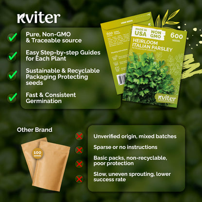 KVITER 500 Lemon Thyme Seeds for Planting (Thymus Pulegioides) – Wild Creeping Thyme Seeds Ground Cover, Aromatic & Drought-Tolerant Herbaceous Flower – Ideal for Walls, Fences & Herb Garden