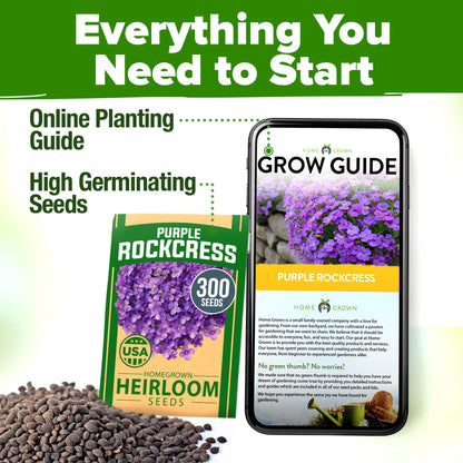 HOME GROWN 𝗨𝗦𝗔 𝗣𝗥𝗘𝗠𝗜𝗨𝗠 Zinnia Dahlia Seeds Pack for 2025 – 524 𝗡𝗢𝗡-𝗚𝗠𝗢 Flower Seeds | Vibrant Zinnia Elegans for Pollinator Gardens, Borders & Containers | Easy-to-Grow Outdoor Blooms