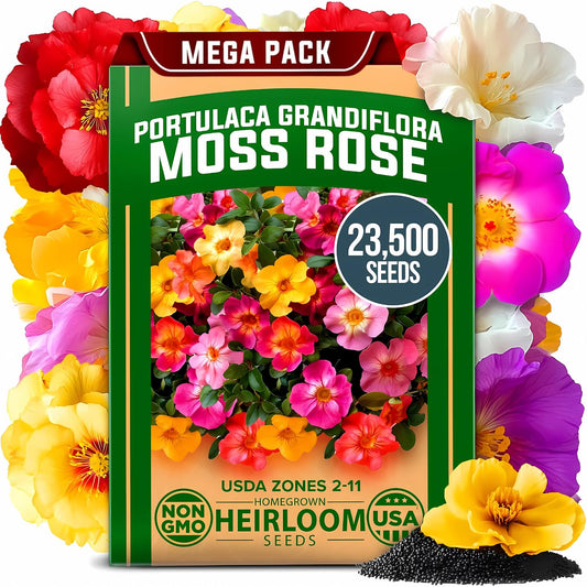 HOME GROWN 𝗨𝗦𝗔 𝗣𝗥𝗘𝗠𝗜𝗨𝗠 Zinnia Dahlia Seeds Pack for 2025 – 524 𝗡𝗢𝗡-𝗚𝗠𝗢 Flower Seeds | Vibrant Zinnia Elegans for Pollinator Gardens, Borders & Containers | Easy-to-Grow Outdoor Blooms