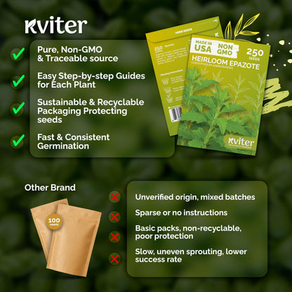 KVITER 500 Lemon Thyme Seeds for Planting (Thymus Pulegioides) – Wild Creeping Thyme Seeds Ground Cover, Aromatic & Drought-Tolerant Herbaceous Flower – Ideal for Walls, Fences & Herb Garden