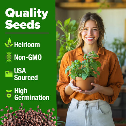 HOME GROWN 𝗨𝗦𝗔 𝗣𝗥𝗘𝗠𝗜𝗨𝗠 Peppermint Seeds Pack – 2,370 𝗡𝗢𝗡-𝗚𝗠𝗢 Heirloom Mint Seeds for Planting. Grow Peppermint Plants in Your Herb Garden Indoors or Outdoors (Mentha x piperita)