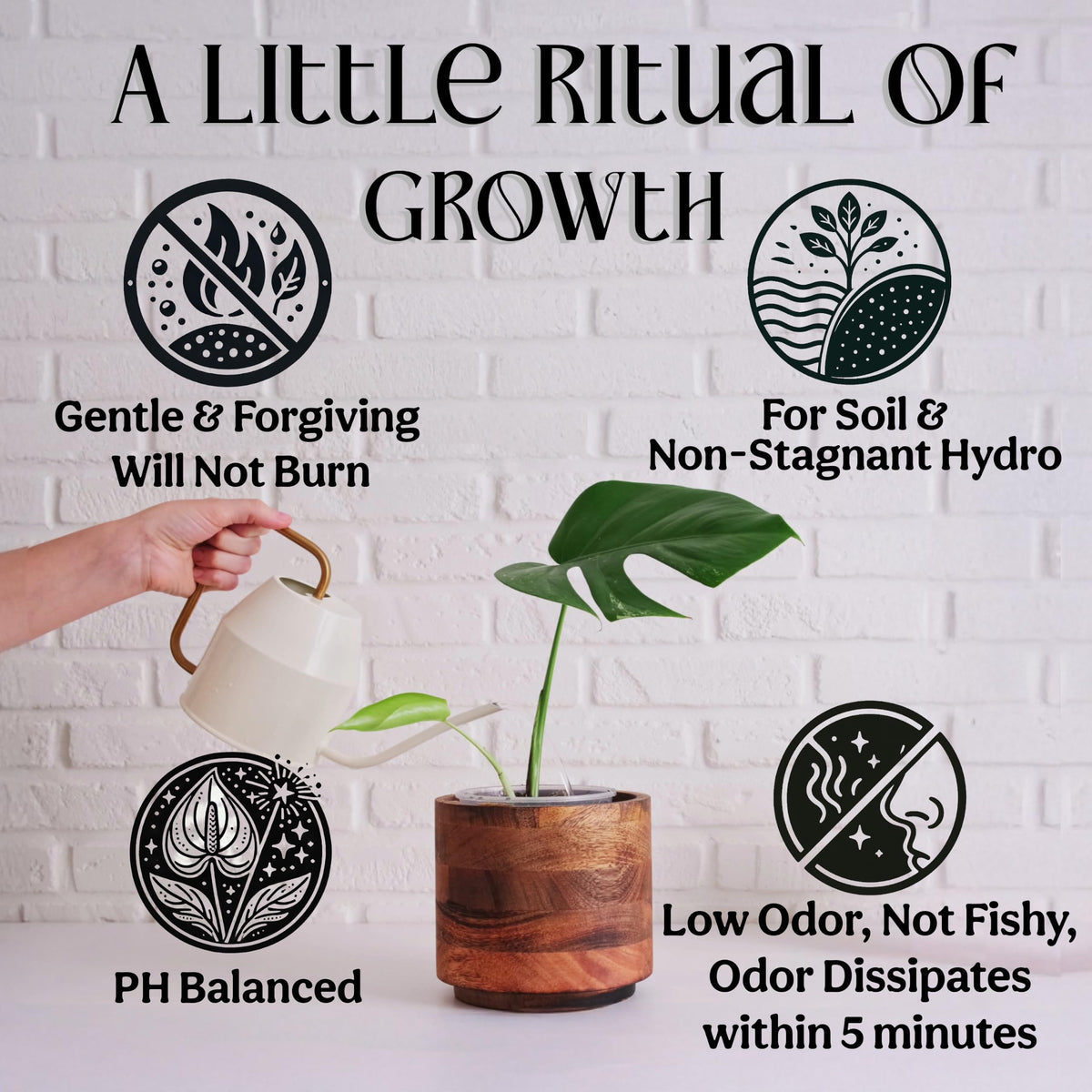 Organic Liquid Indoor Plant Food, Houseplant, Tropical & All-Purpose Indoor Plant Fertilizer, Organic Liquid Fertilizer 5-5-5 with Sea Kelp, 8oz Treats 50 Gallons