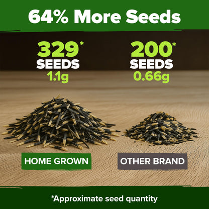 HOME GROWN 𝗨𝗦𝗔 𝗣𝗥𝗘𝗠𝗜𝗨𝗠 Zinnia Dahlia Seeds Pack for 2025 – 524 𝗡𝗢𝗡-𝗚𝗠𝗢 Flower Seeds | Vibrant Zinnia Elegans for Pollinator Gardens, Borders & Containers | Easy-to-Grow Outdoor Blooms