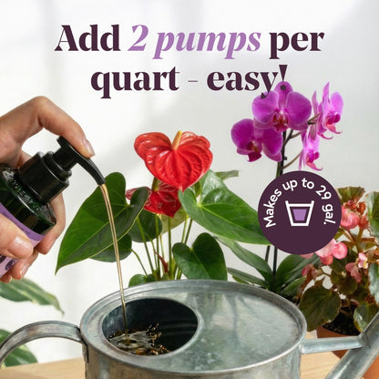 We the Wild Organic Grow Pump & Go | Indoor Plant Food | 16.9 oz