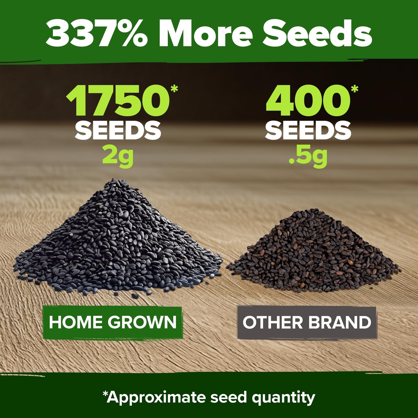 HOME GROWN 𝗨𝗦𝗔 𝗣𝗥𝗘𝗠𝗜𝗨𝗠 Peppermint Seeds Pack – 2,370 𝗡𝗢𝗡-𝗚𝗠𝗢 Heirloom Mint Seeds for Planting. Grow Peppermint Plants in Your Herb Garden Indoors or Outdoors (Mentha x piperita)