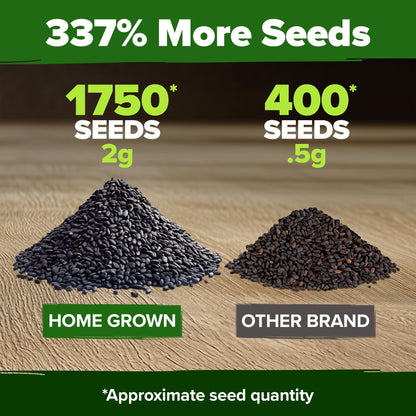 HOME GROWN 𝗨𝗦𝗔 𝗣𝗥𝗘𝗠𝗜𝗨𝗠 Peppermint Seeds Pack – 2,370 𝗡𝗢𝗡-𝗚𝗠𝗢 Heirloom Mint Seeds for Planting. Grow Peppermint Plants in Your Herb Garden Indoors or Outdoors (Mentha x piperita)