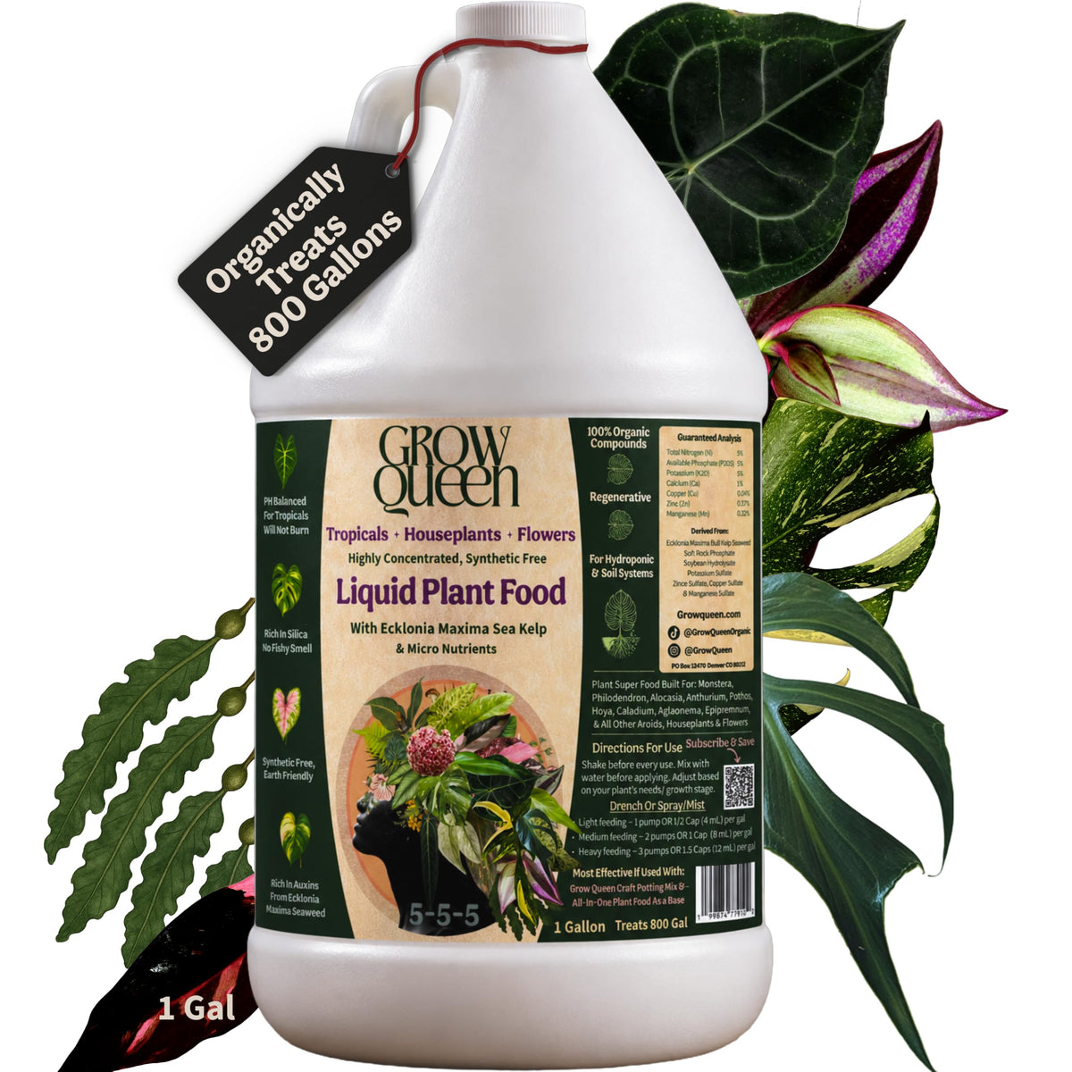 Organic Liquid Indoor Plant Food, Houseplant, Tropical & All-Purpose Indoor Plant Fertilizer, Organic Liquid Fertilizer 5-5-5 with Sea Kelp, 8oz Treats 50 Gallons
