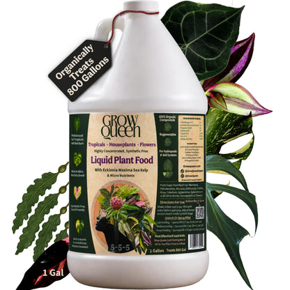 Organic Liquid Indoor Plant Food, Houseplant, Tropical & All-Purpose Indoor Plant Fertilizer, Organic Liquid Fertilizer 5-5-5 with Sea Kelp, 8oz Treats 50 Gallons