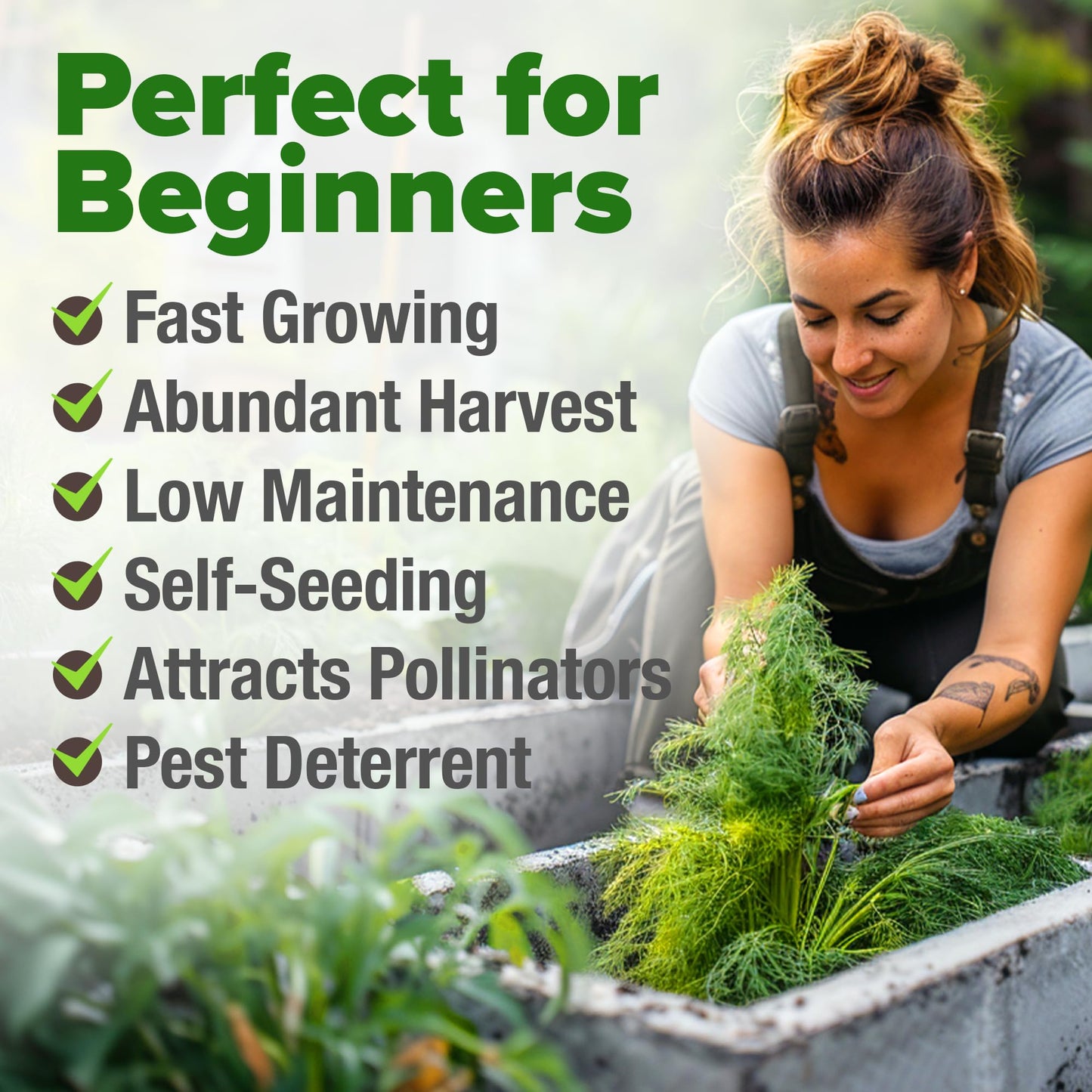 HOME GROWN 𝗨𝗦𝗔 𝗣𝗥𝗘𝗠𝗜𝗨𝗠 Peppermint Seeds Pack – 2,370 𝗡𝗢𝗡-𝗚𝗠𝗢 Heirloom Mint Seeds for Planting. Grow Peppermint Plants in Your Herb Garden Indoors or Outdoors (Mentha x piperita)