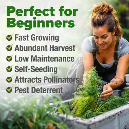 HOME GROWN 𝗨𝗦𝗔 𝗣𝗥𝗘𝗠𝗜𝗨𝗠 Peppermint Seeds Pack – 2,370 𝗡𝗢𝗡-𝗚𝗠𝗢 Heirloom Mint Seeds for Planting. Grow Peppermint Plants in Your Herb Garden Indoors or Outdoors (Mentha x piperita)