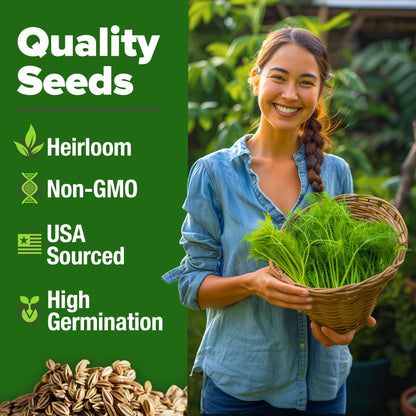 HOME GROWN 𝗨𝗦𝗔 𝗣𝗥𝗘𝗠𝗜𝗨𝗠 Peppermint Seeds Pack – 2,370 𝗡𝗢𝗡-𝗚𝗠𝗢 Heirloom Mint Seeds for Planting. Grow Peppermint Plants in Your Herb Garden Indoors or Outdoors (Mentha x piperita)