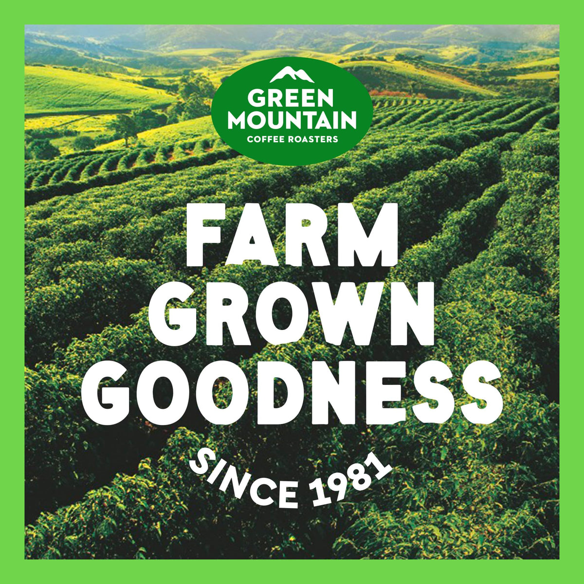 Green Mountain Coffee Roasters Seasonal Selections Pumpkin Spice 32 Count