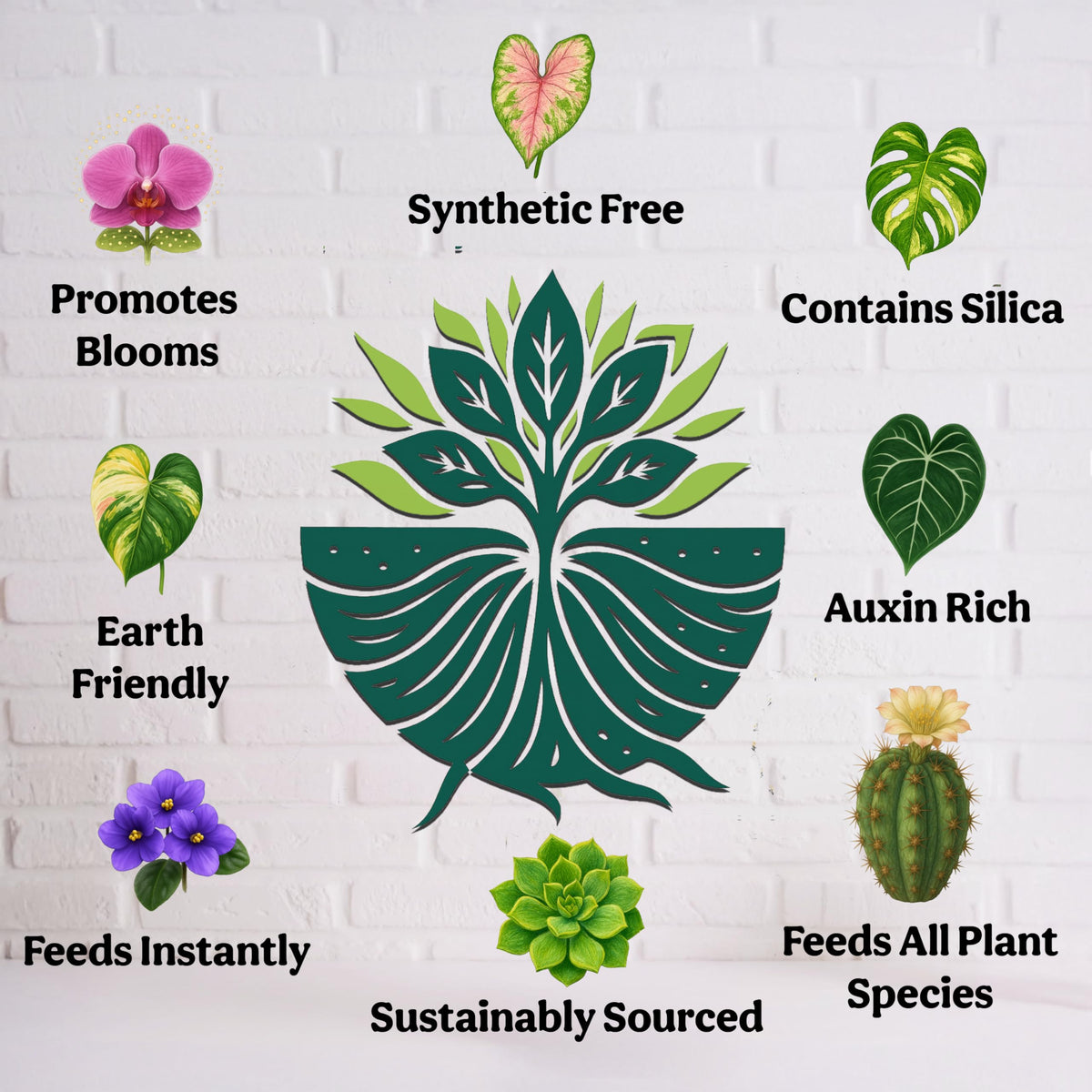 Organic Liquid Indoor Plant Food, Houseplant, Tropical & All-Purpose Indoor Plant Fertilizer, Organic Liquid Fertilizer 5-5-5 with Sea Kelp, 8oz Treats 50 Gallons