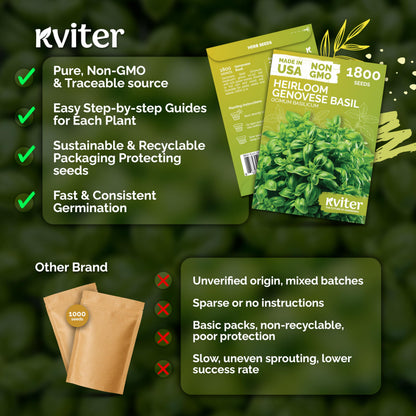 KVITER 500 Lemon Thyme Seeds for Planting (Thymus Pulegioides) – Wild Creeping Thyme Seeds Ground Cover, Aromatic & Drought-Tolerant Herbaceous Flower – Ideal for Walls, Fences & Herb Garden