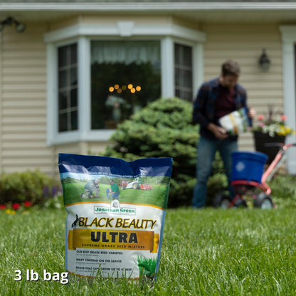 Jonathan Green Black Beauty Ultra Grass Seed - 7 lb