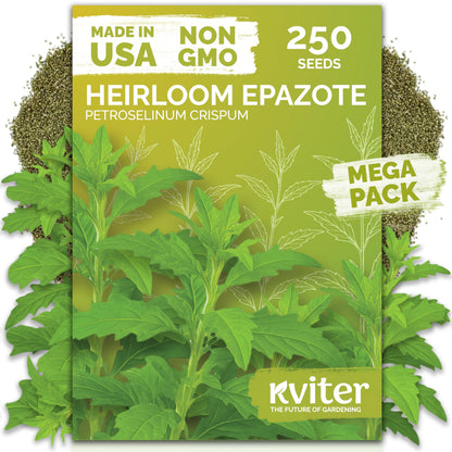 KVITER 500 Lemon Thyme Seeds for Planting (Thymus Pulegioides) – Wild Creeping Thyme Seeds Ground Cover, Aromatic & Drought-Tolerant Herbaceous Flower – Ideal for Walls, Fences & Herb Garden