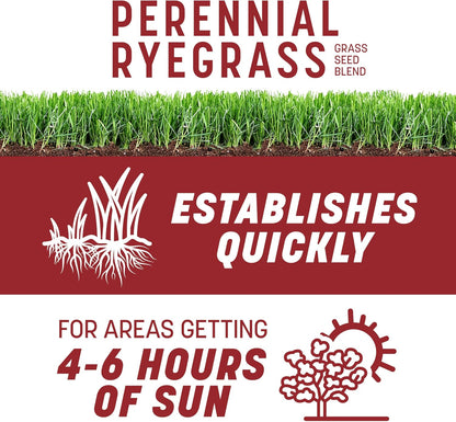 Pennington Smart Seed Perennial Rye Grass Seed Plus Fertilizer, 3 lb